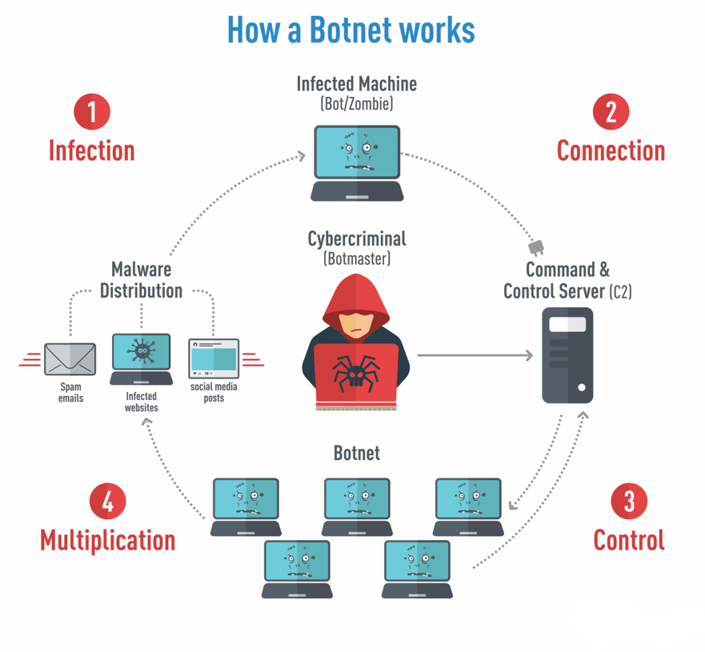 botnet definition